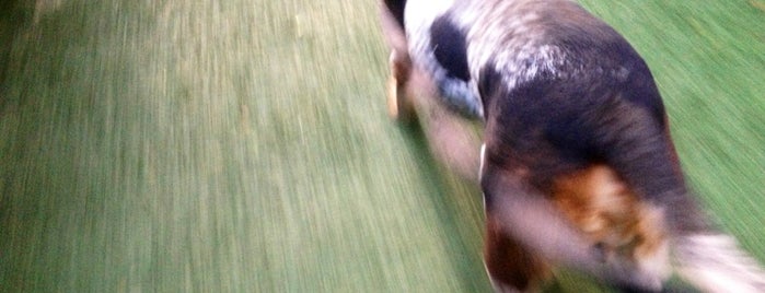 Venetian Dog Run is one of Locais curtidos por JRA.