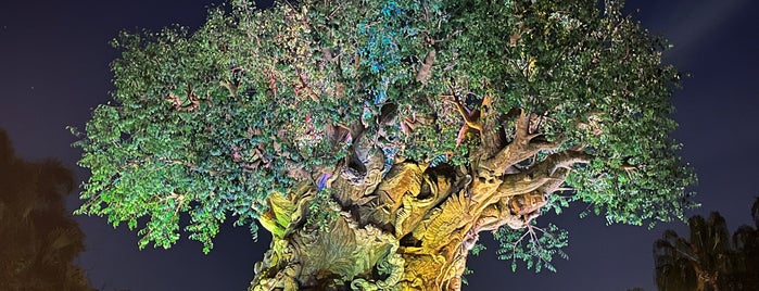 The Tree of Life is one of Top Orlando spots.
