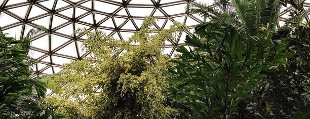 Bloedel Floral Conservatory is one of Vancouver Expedition.