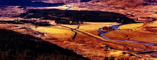 Laggan Forrest is one of UK.