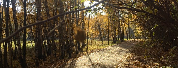 Ландшафтный заказник «Тропарёвский» is one of Парки.