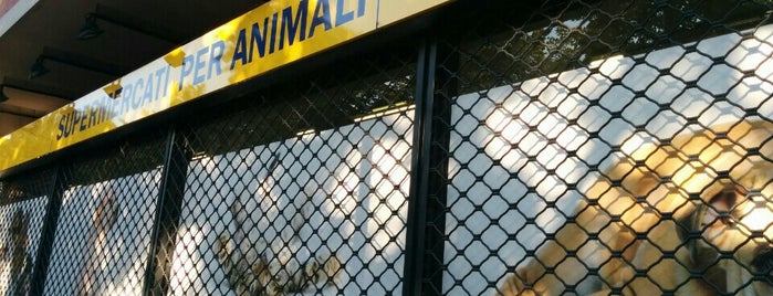 Pet Shop is one of สถานที่ที่ Florina ถูกใจ.
