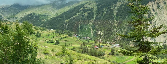 Özgüven Köyü (Gudashev) is one of Artvin.
