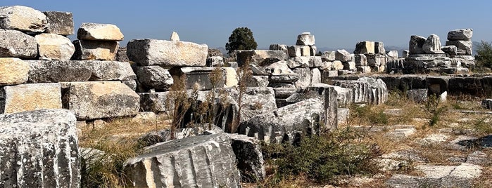 Magnesia Artemis Tapınağı is one of Türkiye - Aydın.