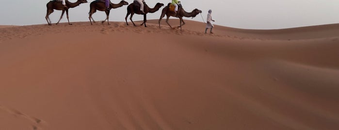 Sahara is one of Marrakech.