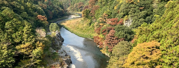 神代橋 is one of 特撮ロケ地.