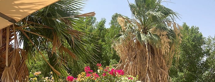 Nofa Resort Riyadh, A Radisson Collection Hotel is one of Riyadh 2.