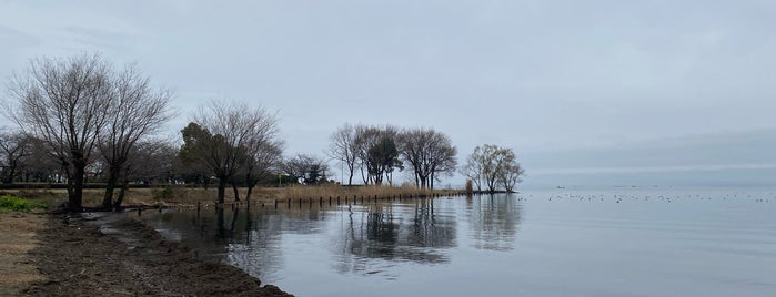 Lake Biwa is one of バッジ用.