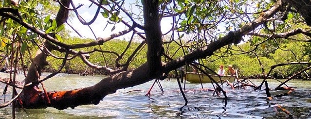 Praia de Garapuá is one of 📳 Laila'nın Beğendiği Mekanlar.