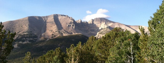 Great Basin National Park is one of Lugares favoritos de Jerry.