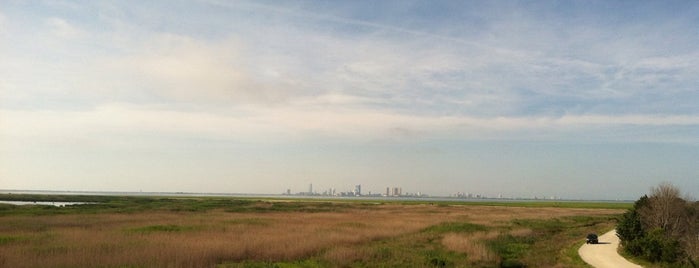 Edwin Forsythe National Wildlife Refuge is one of Posti che sono piaciuti a Jerry.