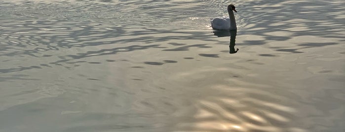 Libás strand is one of Balaton.