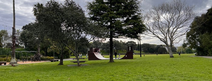 Grey Lynn Park is one of NZ.