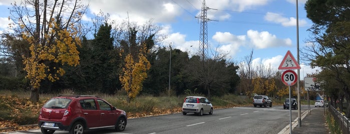 Parco Regionale Urbano di Aguzzano is one of Rome Parks.