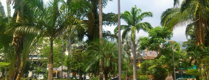 Parque Las Palmas is one of Locais curtidos por Juan.