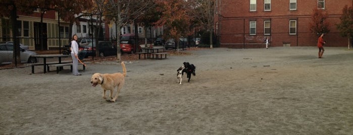 Summer Street Dog Park is one of Brooklyn.