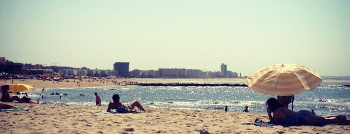 Figueira da Foz is one of Cities in Portugal and Galicia.