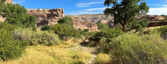 Colorado State Park - Colo. River is one of Colorado.