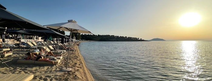 Kohi Beach Bar is one of thassos halkidiki selanik.
