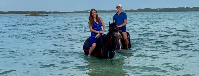 Tci Heritage Tours & Horseback Riding is one of BEST OF: Turks & Caicos.