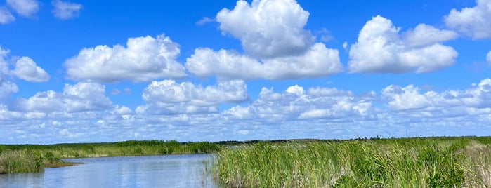 The Everglades is one of Ft. Myers and Beyond--Things to Do in Florida.