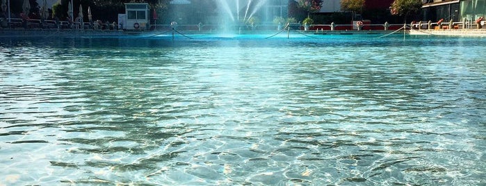 Terme dei Papi is one of Therme.