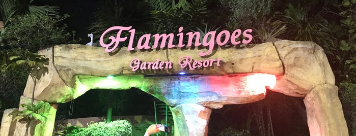 Flamingoes Garden Resort is one of My Adventure   .