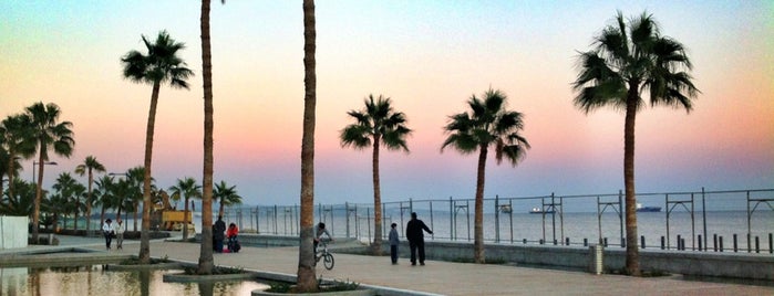 Limassol is one of Orte, die Vangelis gefallen.