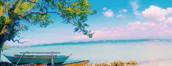 Samal Island is one of Philippines.