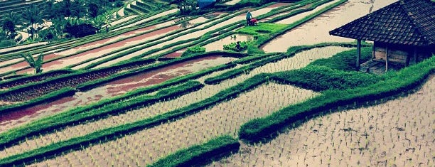 Jatiluwih Rice Terraces is one of Bali.