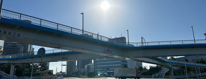 イオンモール幕張新都心免許センター歩道橋 is one of 渡った橋（東日本）.