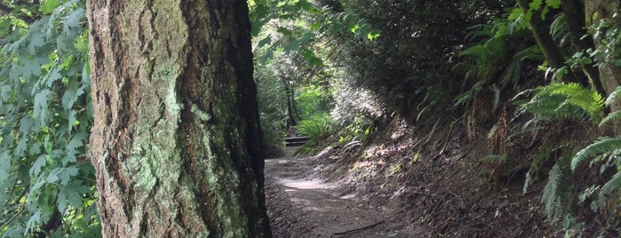 Marquam Trail is one of PDX fun.