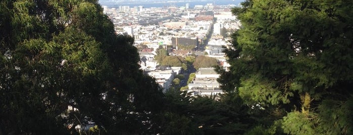 Corona Heights Park is one of Worthwhile Places to Visit in SF.