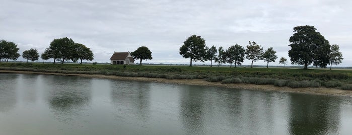 Port de Saint-Valery-sur-Somme is one of Tempat yang Disukai Elien.