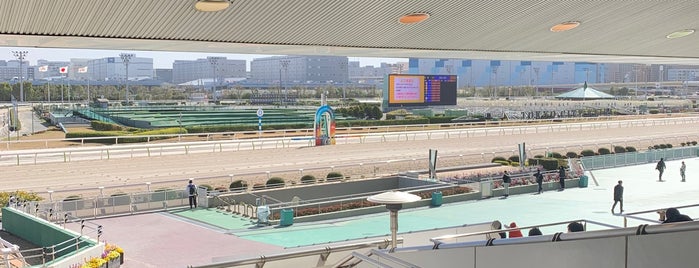 Ohi Racecourse (Tokyo City Keiba) is one of Horse Racing Around the World.