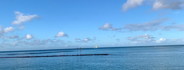 laniakea beach is one of Honolulu.