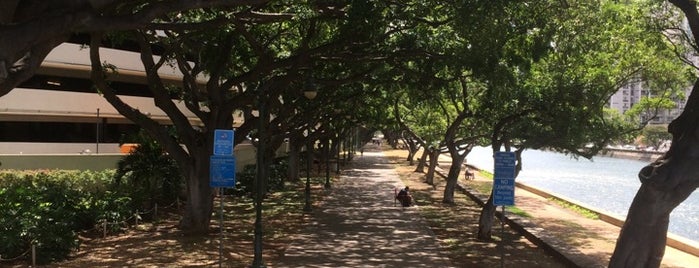 Ala Wai Promenade is one of Locais curtidos por Lisle.