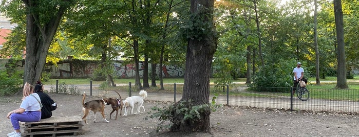 Hundeplatz im Volkspark Friedrichshain is one of Berlin: Mit Hund durch die Stadt.
