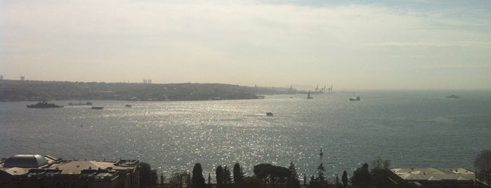 Swissôtel The Bosphorus is one of English & Spanish Official & Licensed Tour Guide.