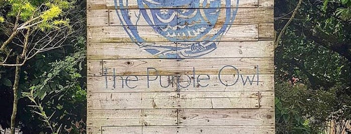The Purple Owl is one of Fidel's Saved Places.