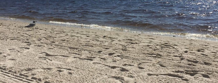 Cape Coral Beach at Yacht Club Community Park is one of Matlacha.