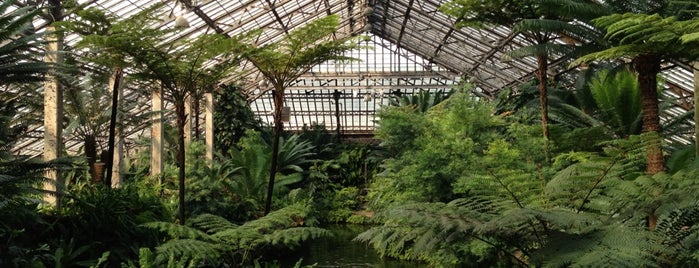 Garfield Park Conservatory is one of Chicago.