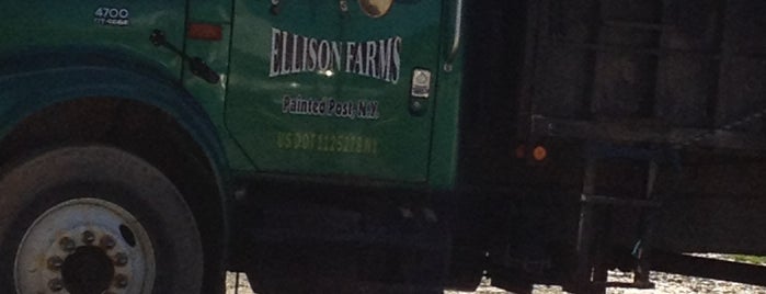 Ellison Farms is one of My favorite places to be.