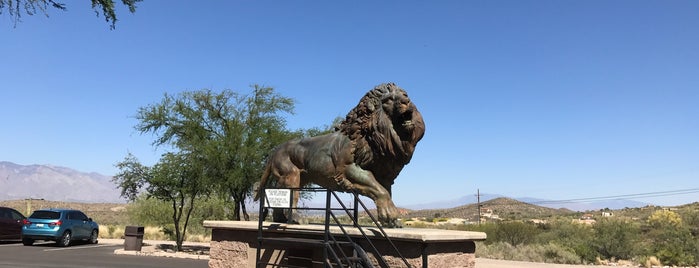International Wildlife Museum is one of Tucson to-do.