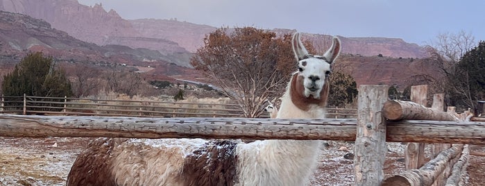 Capitol Reef Resort is one of Want to Try Out New 2.