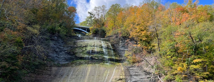 Shequaga Falls is one of Lieux qui ont plu à AmberChella.