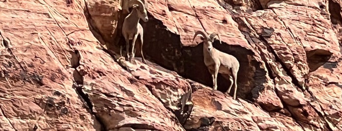 Red Rock Canyon National Conservation Area is one of Vegas.