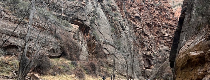 The Narrows is one of National Parks Grand Circle Trip.