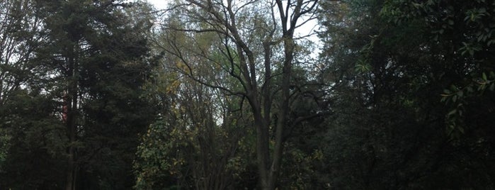 Parque Ecológico de Loreto y Peña Pobre is one of Atracciones.