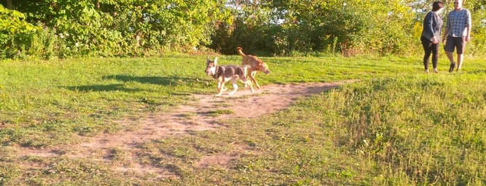 Fergus dog park is one of Dog Parks in Ontario.